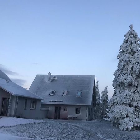 Gitti'S Ferienwohnung Seiffen Exterior foto