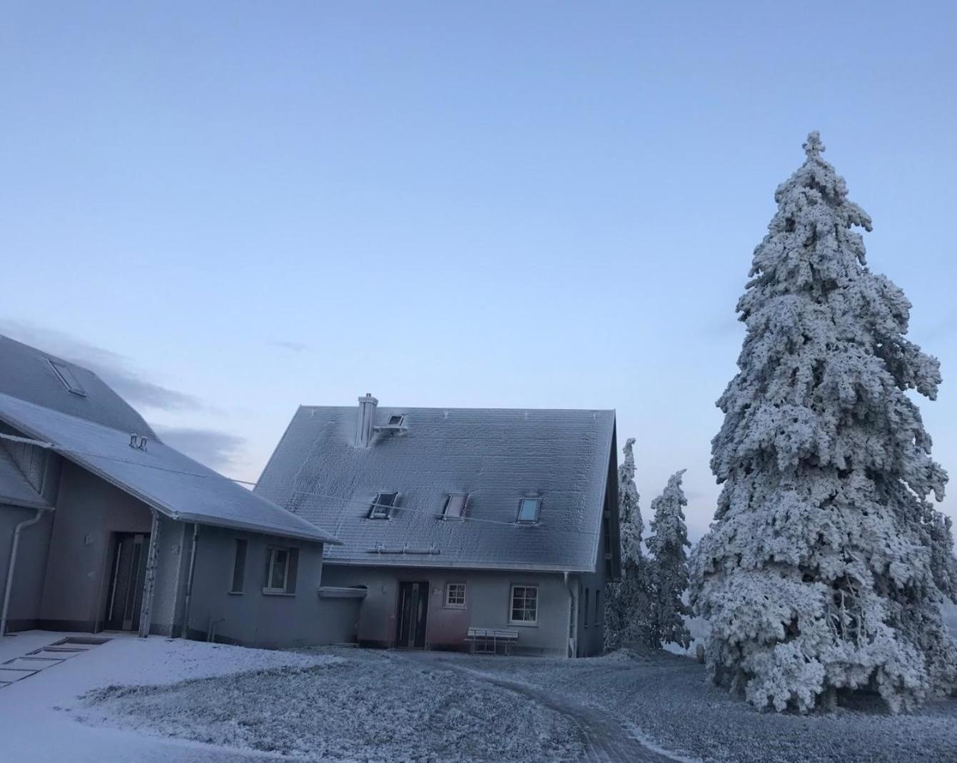 Gitti'S Ferienwohnung Seiffen Exterior foto